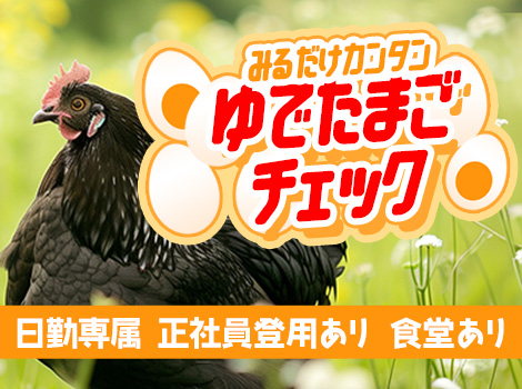 【日勤専属】小さくて軽い「ゆで卵」の目視検査♪正社員登用あり◎